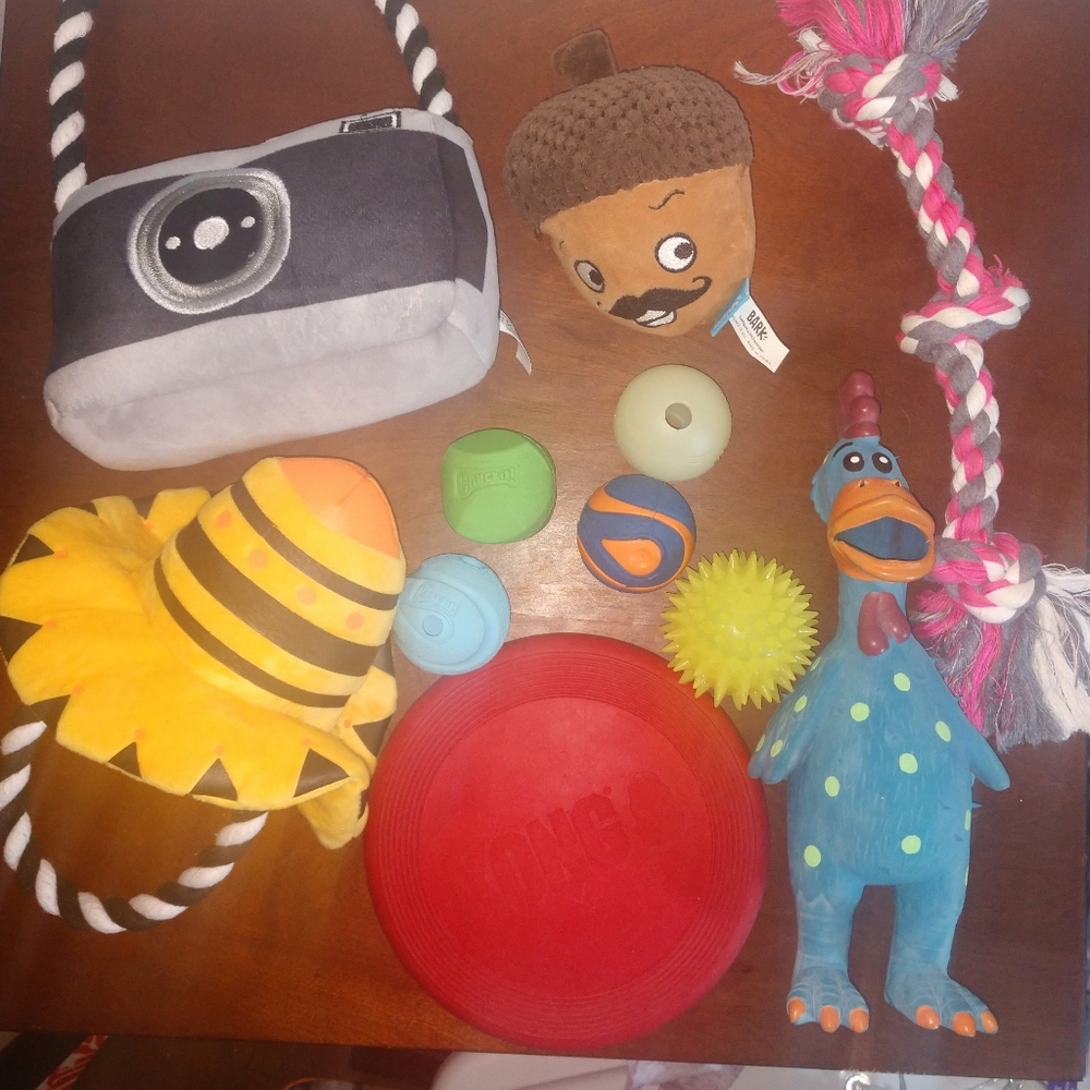 Small dog toy lot